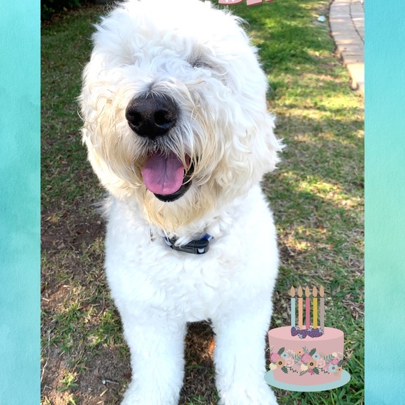 Meet The Vice President π - Picture 16 of 17